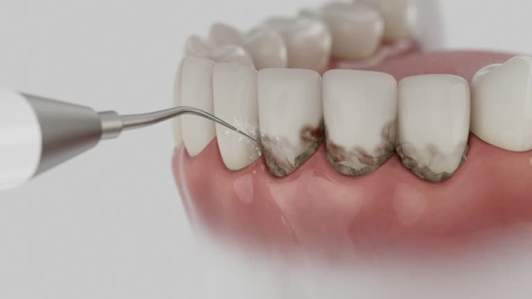 Reliable Dental contractor in Gallatin County County, IL by Dentist Open Now
